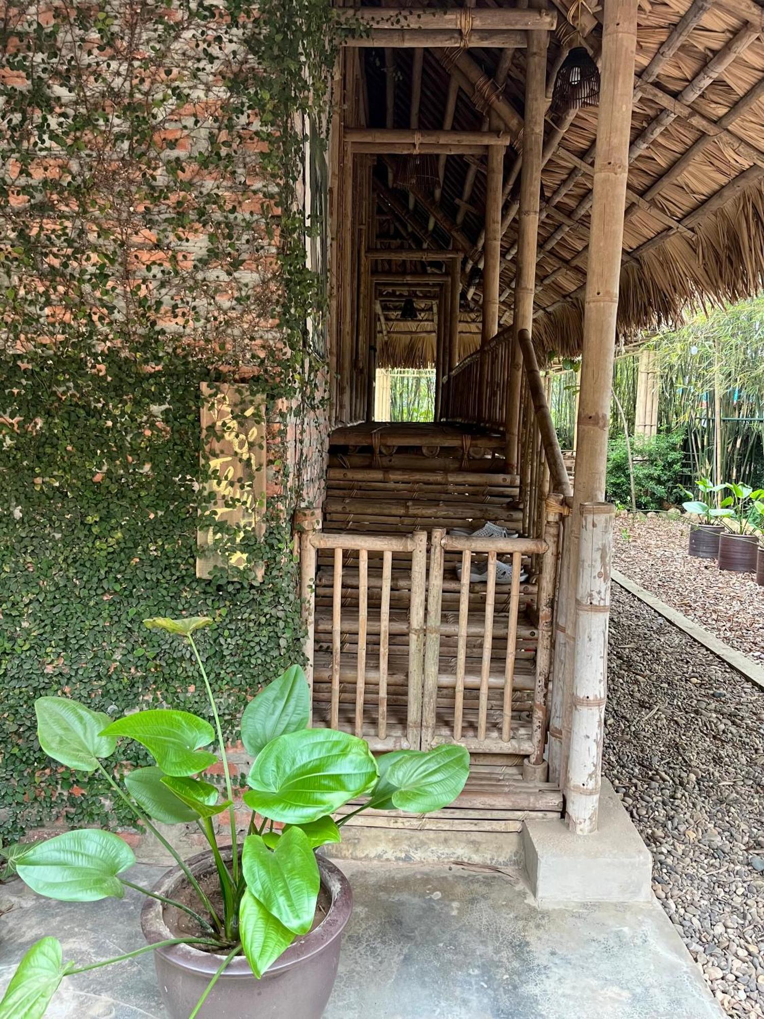 Dinh Gia Trang - Homestay & Coffee The Ruong Экстерьер фото